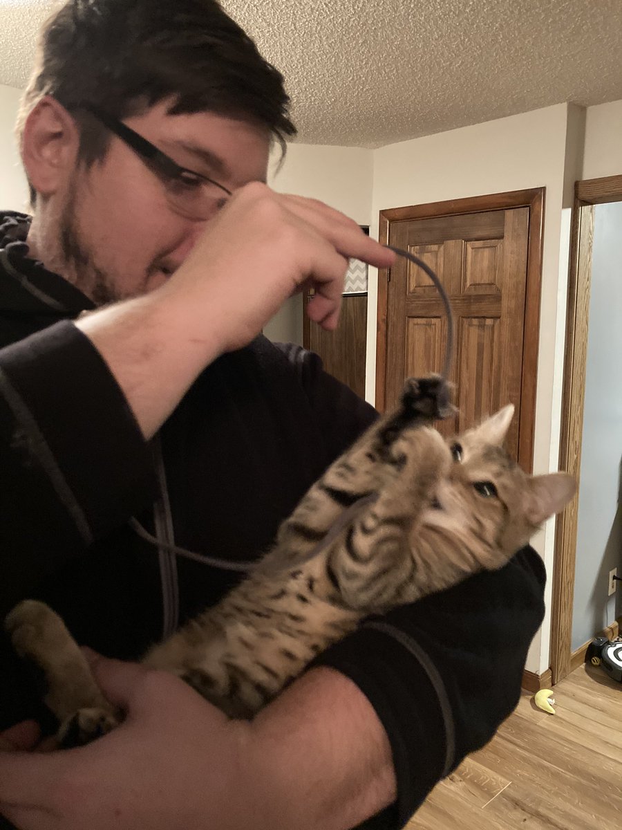 Meat Raffle tweet media