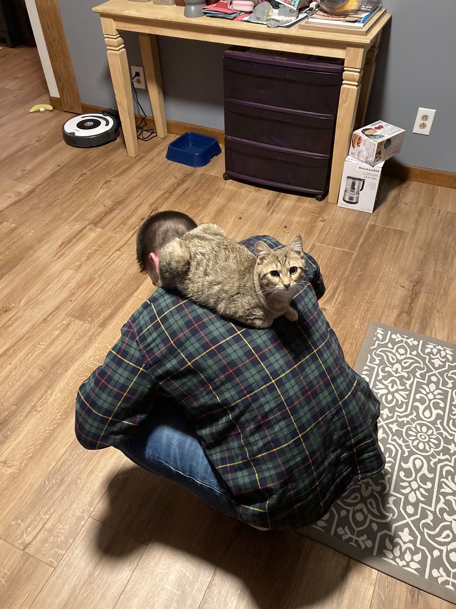 Meat Raffle tweet media