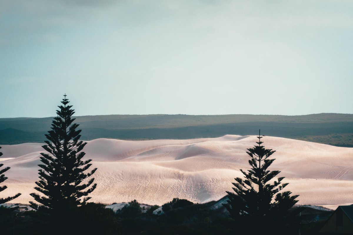 JMCPhotography4's tweet photo. ‘Windswept dunes’ #landscapephotography #Landscapes #Australia #WA #Perth #photooftheday #PhotoMode #photo #photography #Travel #traveling #travelblogger #Leica #abstractexpressionism #fineart #fineartphotography #sun #reflections #Days #streetphoto #life #city #dunes #fineart https://t.co/qQs0aaoIgb