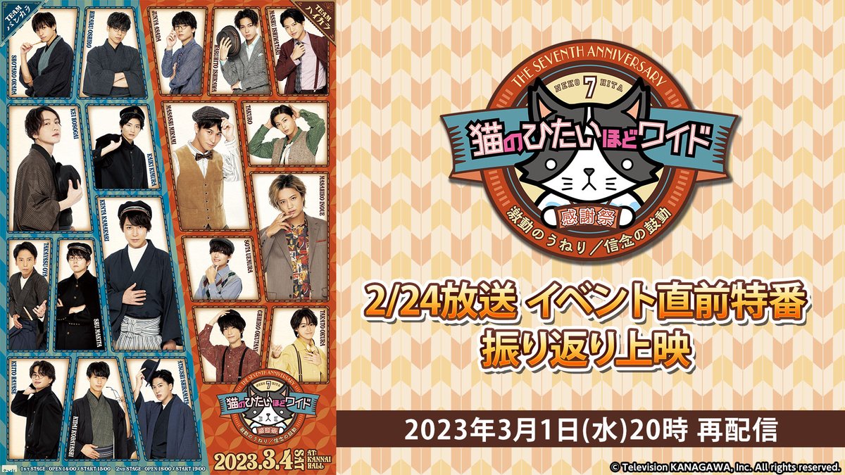 猫のひたいほどワイド on X