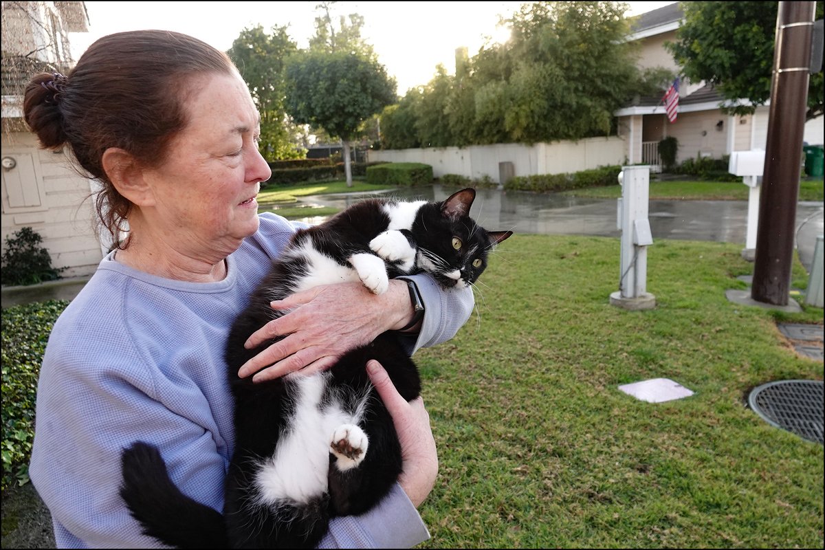 Kevin Drum on Twitter "Friday Cat Blogging 24 February 2023 https