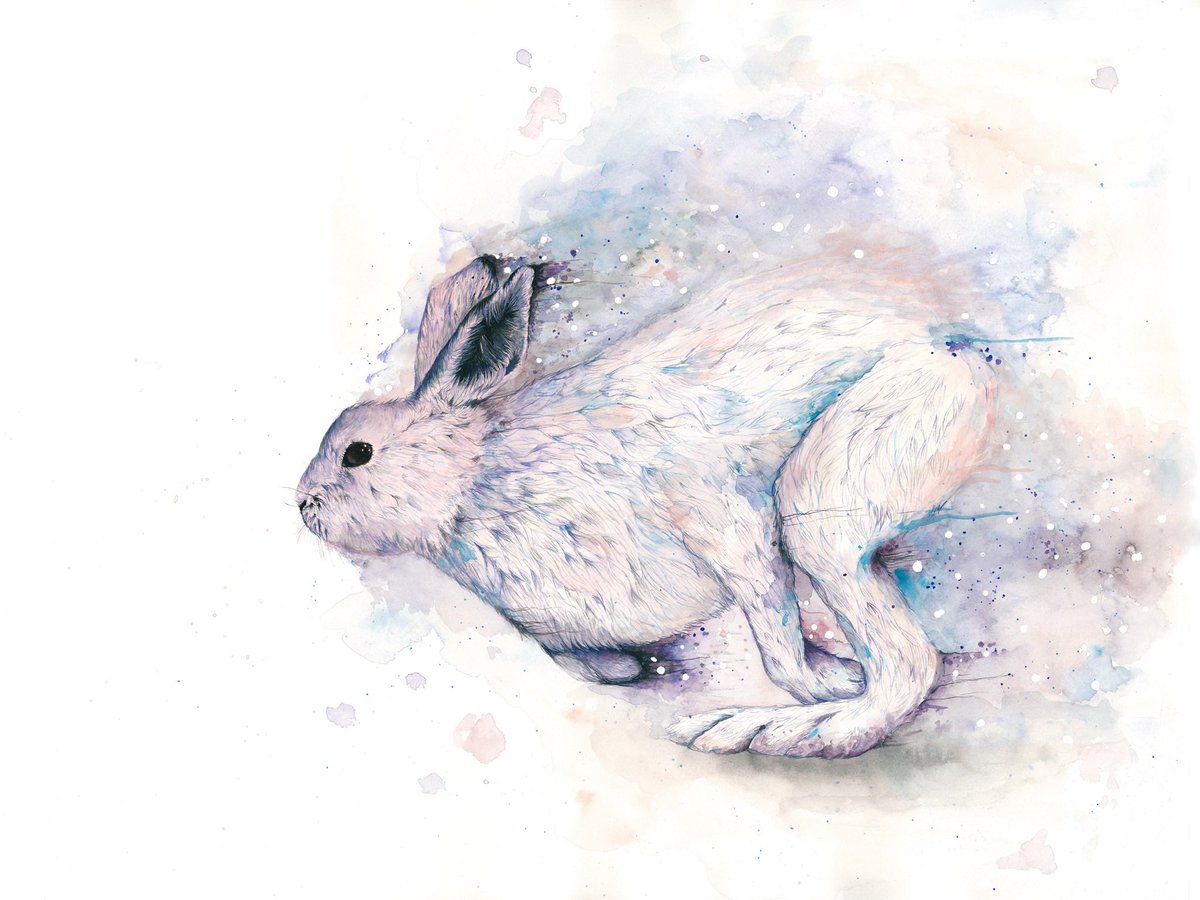 jaclotworks's tweet photo. 水彩画で描きました。フォローお願いします🙇🏻‍♂️
I painted with watercolour. Please follow me😊🙏
#watercolorpainting #art #水彩画 https://t.co/42kLu6dASY