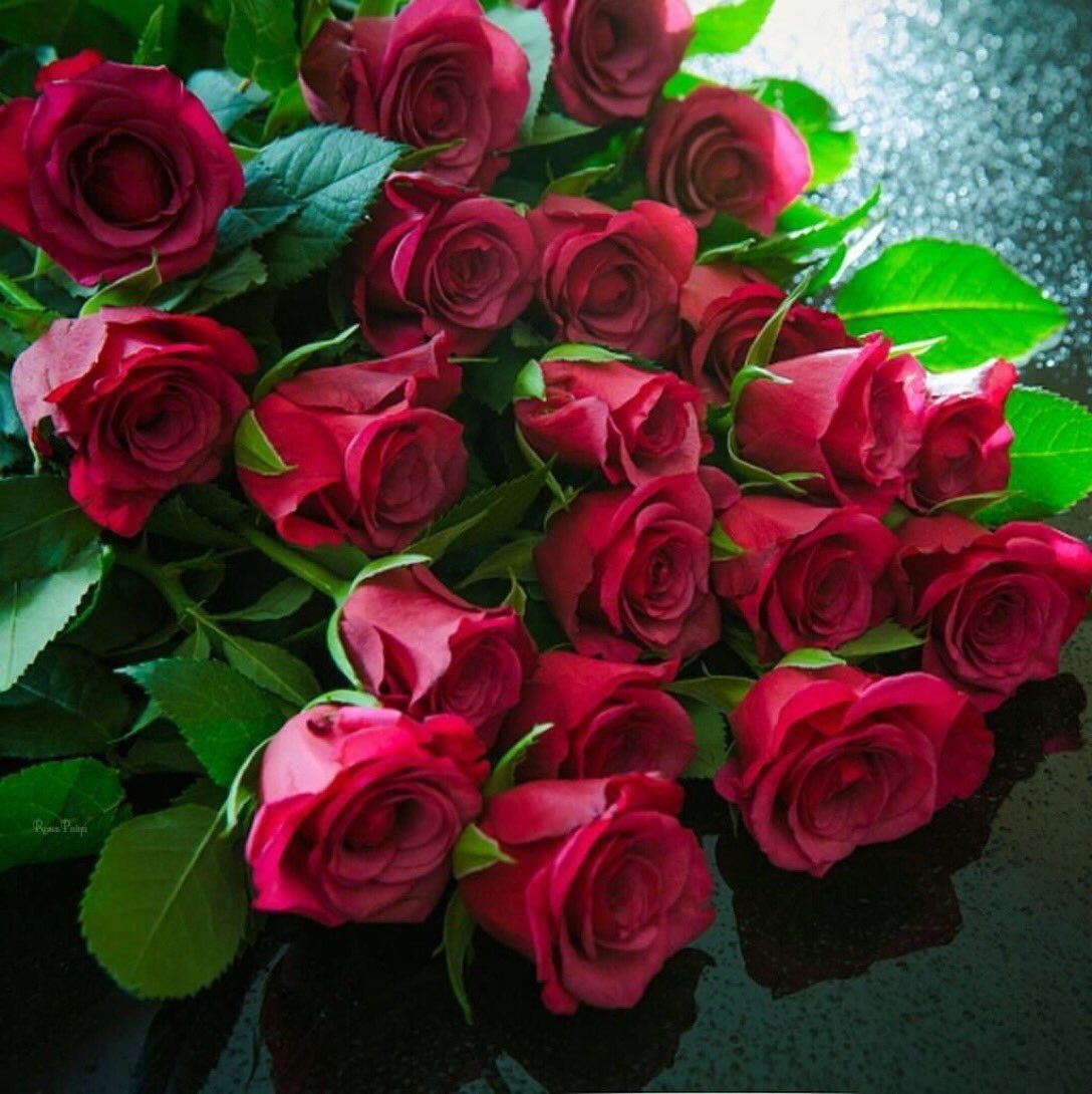 46Ieliena's tweet photo. @1kjIKd7Iwgt6RNl Поздравляю.Счастья,Здоровья,успехов https://t.co/sWqE28IokN