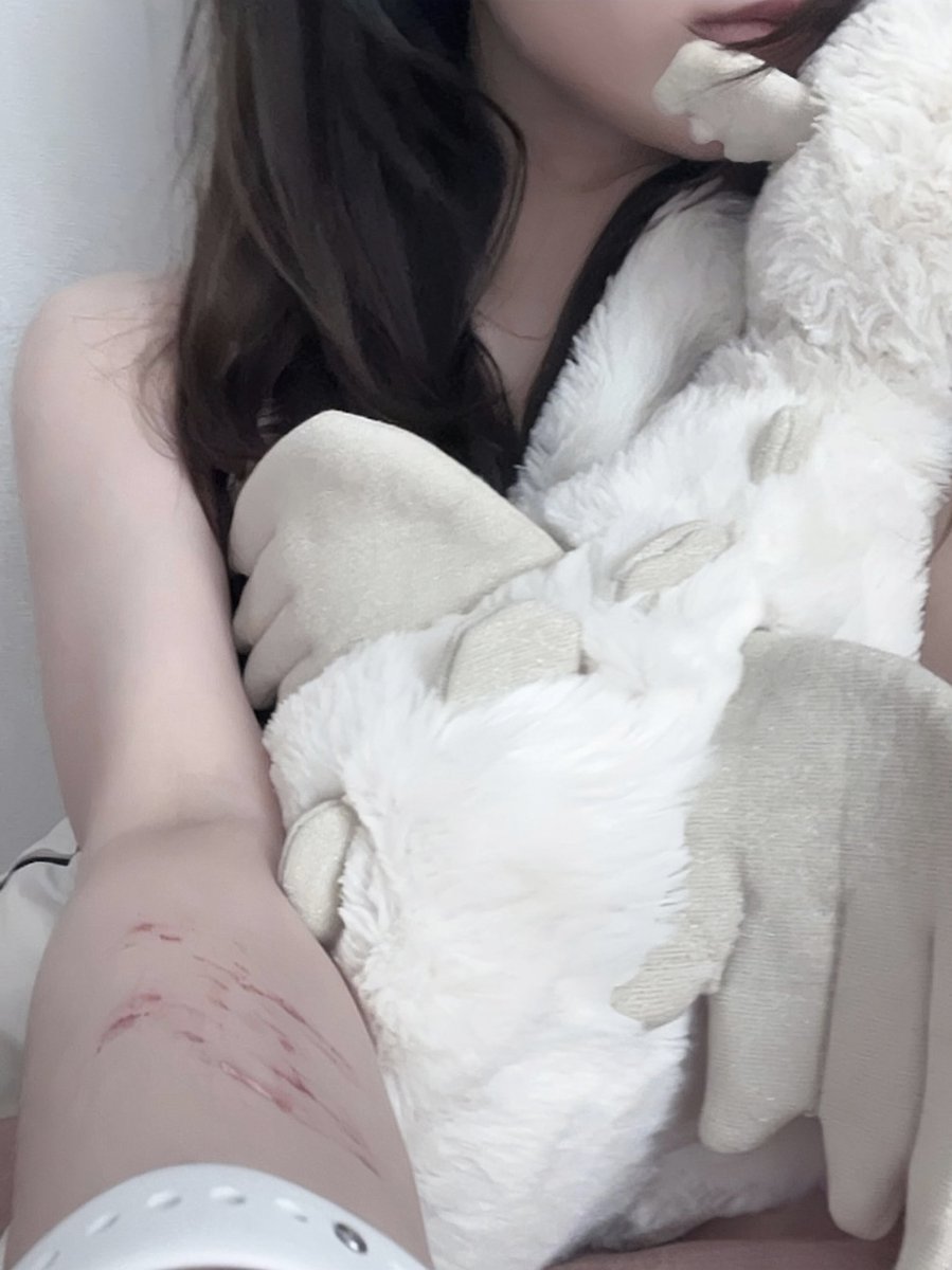 Notyourcattt's tweet photo. 很喜歡這張 https://t.co/nmDj1JK0Gn