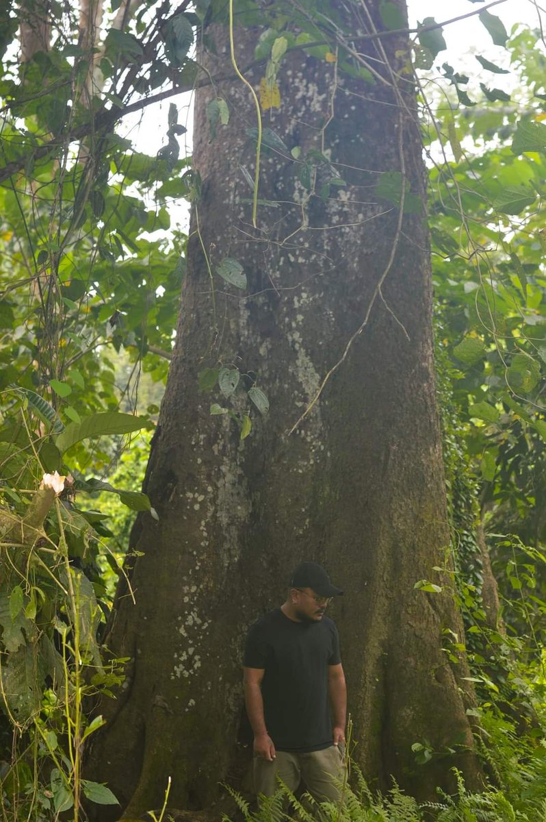 DEVAJIT MORAN #IAmDehingPatkai #Protectmetoo tweet media