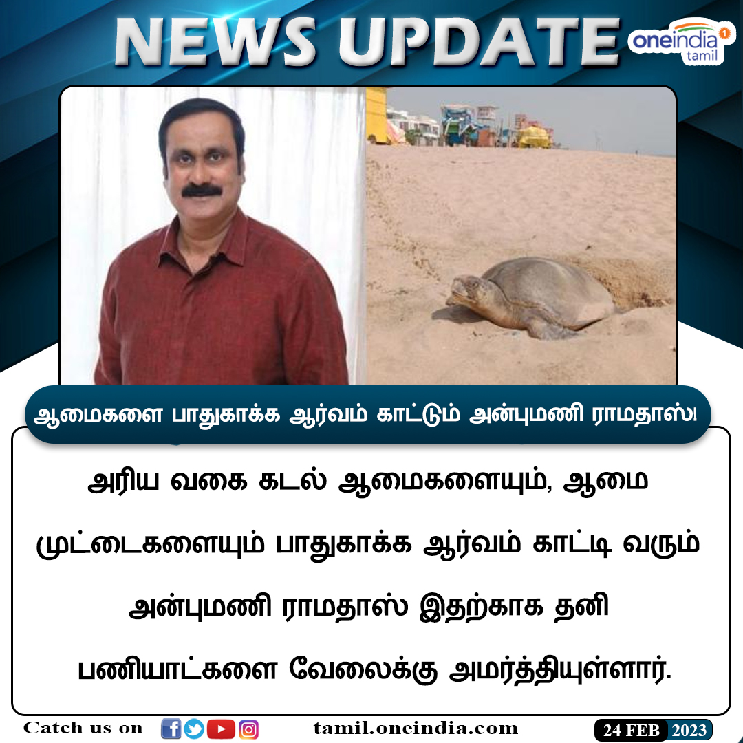 thatsTamil's tweet photo. #NewsUpdate | ஆமைகளை பாதுகாக்க ஆர்வம் காட்டும் அன்புமணி ராமதாஸ்! ஆமை முட்டைகளை கண்காணிக்க தனி பணியாட்கள்!
https://t.co/rzWmmNEfJR
#SeaTurtles #Turtleegg #AnbumaniRamadoss #ஆமை #OneindiaTamil @draramadoss https://t.co/F6lyyiDk6l