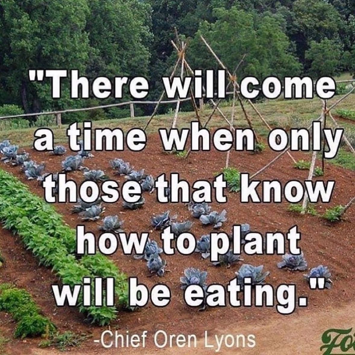 KhalilRaAli's tweet image. #eattolive #howtoeattolive #foodasmedicine #growyourownfood #growyourfood