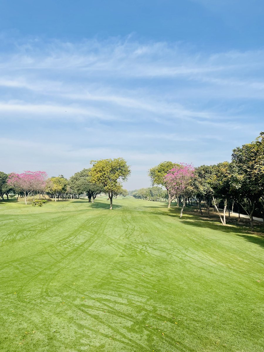 rohitrajput's tweet photo. Spring in full bloom at #qutabgolfclub https://t.co/NzMpbQ8auz