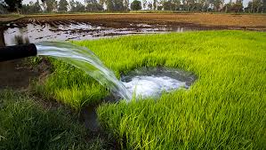 NaturalMaxxer's tweet photo. Soil and Water: If we don't restore these 2 factors our children cannot live well #SaveSoil 🙏🙏🙏 https://t.co/Nx5RWnROfo