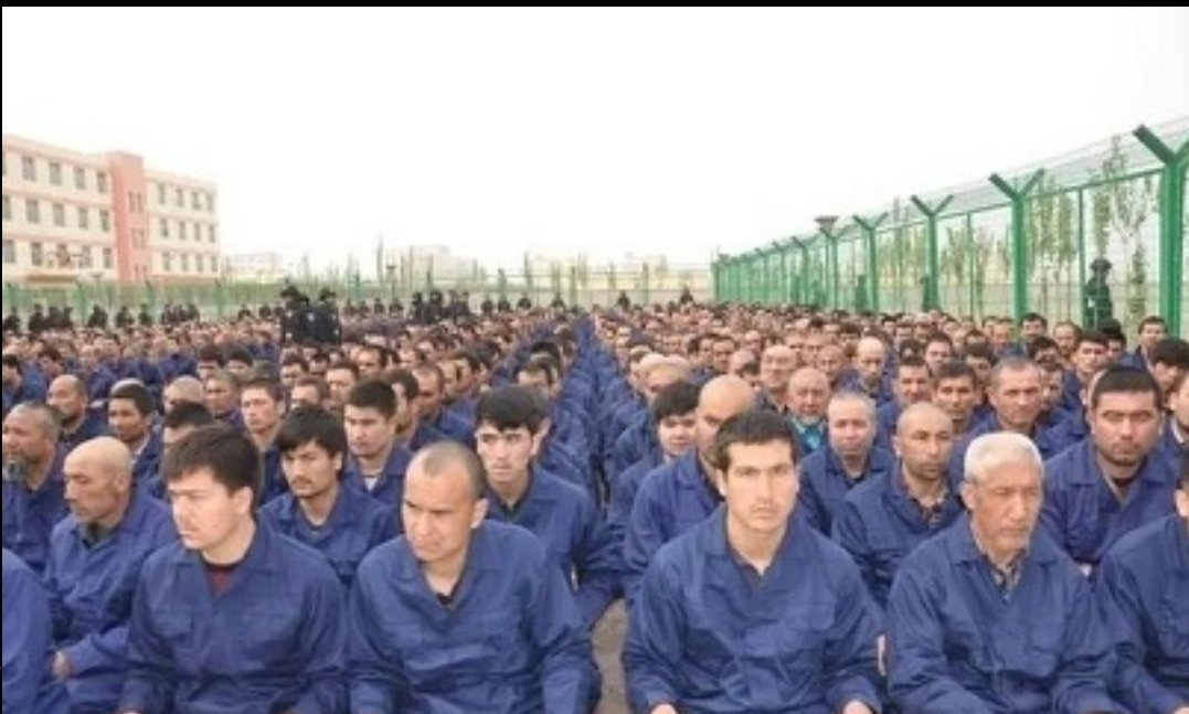 @MFA_China #FreeTheUyghurs
