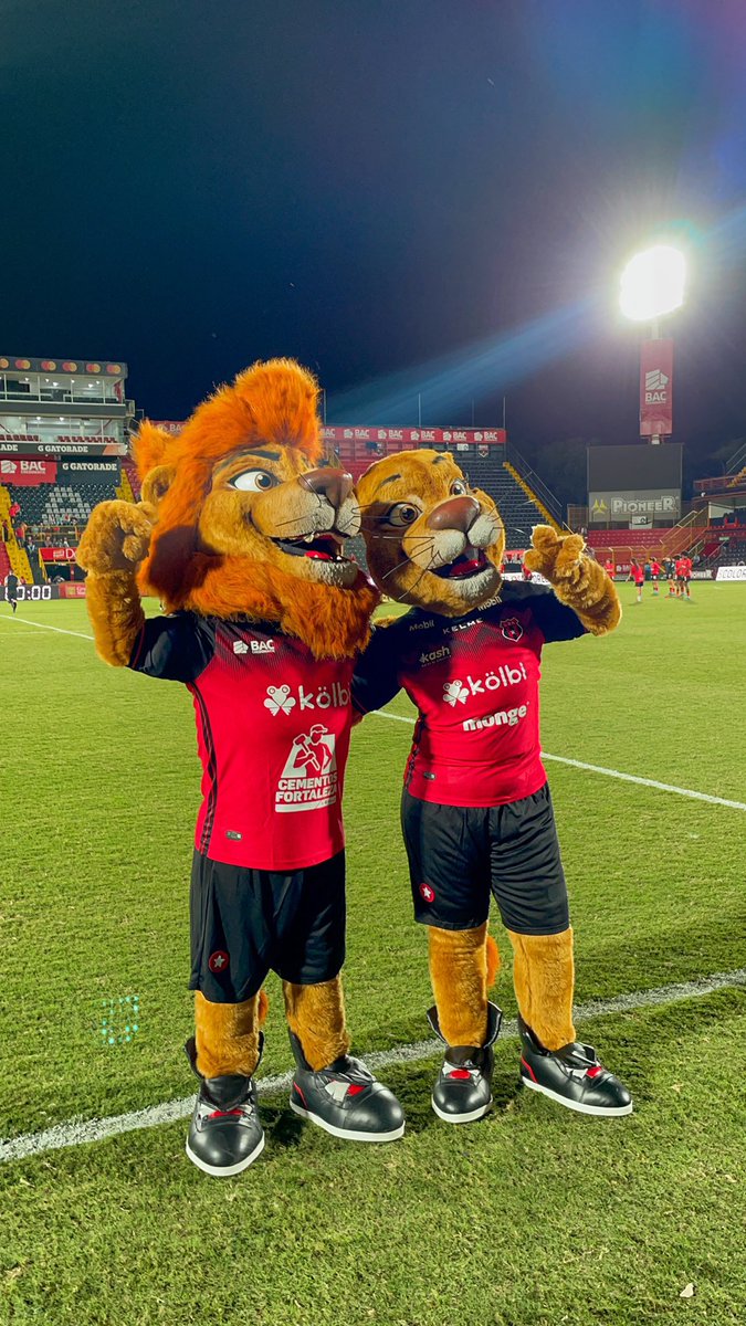 i want what they have