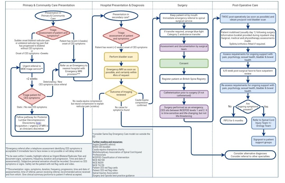 A quick link to the new @NHSGIRFT national pathway for suspected #CES. It describes when, how and where they should be worked up, when to refer to spine team and timing of intervention. #MorningPaper @Imperial_EM @neuro_at_ic @e1v1m1 @BASStrainees gettingitrightfirsttime.co.uk/wp-content/upl…