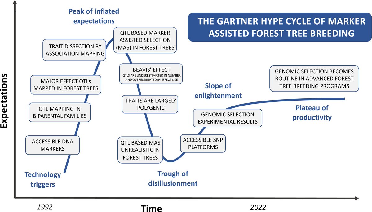 Forests_MDPI's tweet image. 🌲#Forests🌲Editor&apos;s Choice Article in 2022 Series
&quot;Twelve Years into #Genomic Selection in #ForestTrees: Climbing the Slope of Enlightenment of Marker Assisted #TreeBreeding&quot; written by Dario Grattapaglia.
Full text at👉mdpi.com/1999-4907/13/1…
✍#genomicselection #SNPs #MAS