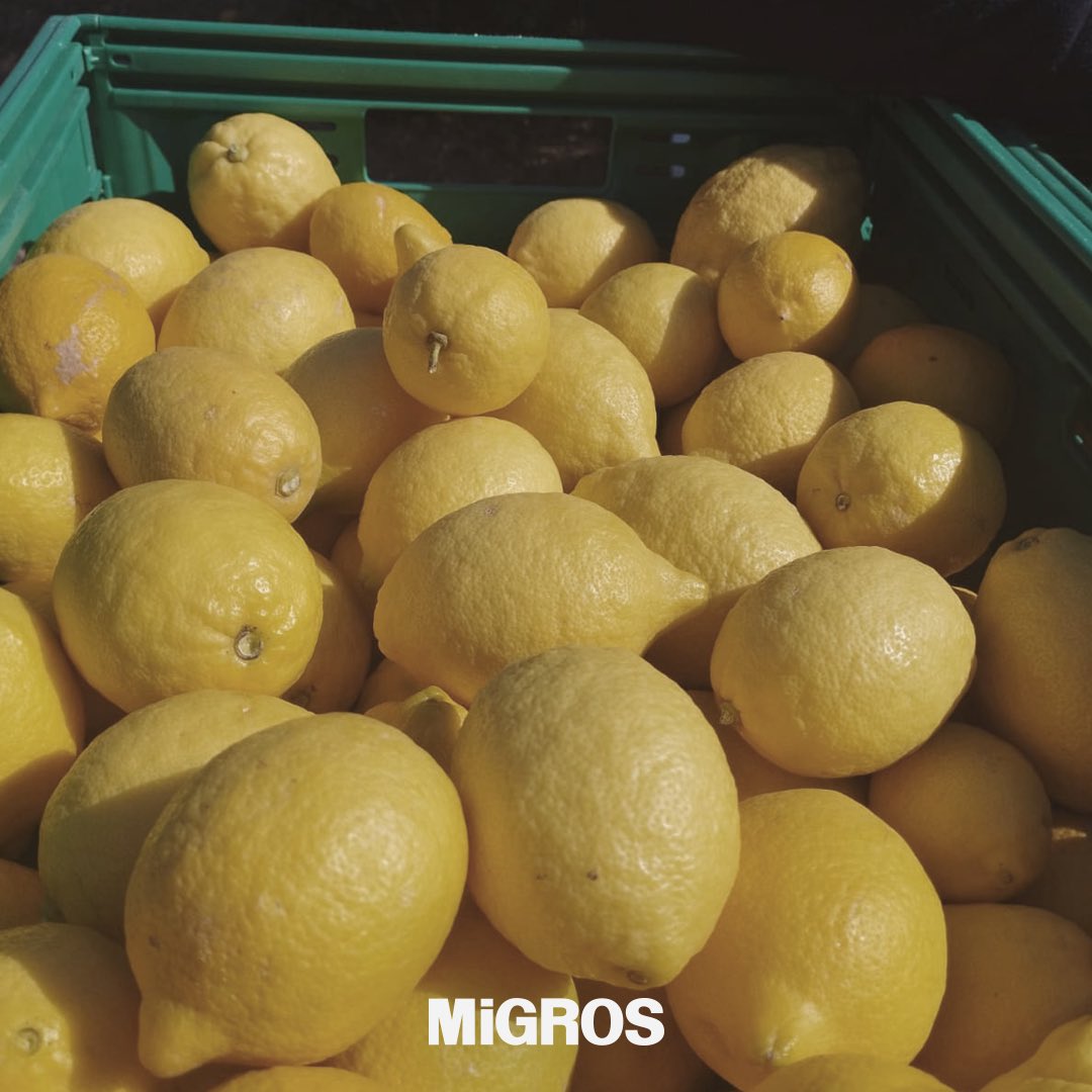 Afet bölgesindeki yerel üreticilerimizin acil desteğe ihtiyaç duyduğunu bilerek, büyük emeklerle yetiştirilmiş ancak tarlada, ağaçta bekleyen ve hızla toplanması gereken tarım ürünleri için koordine olduğumuz bu günlerde Hataylı bir kadın üreticimizin destek çağrısını gördük.