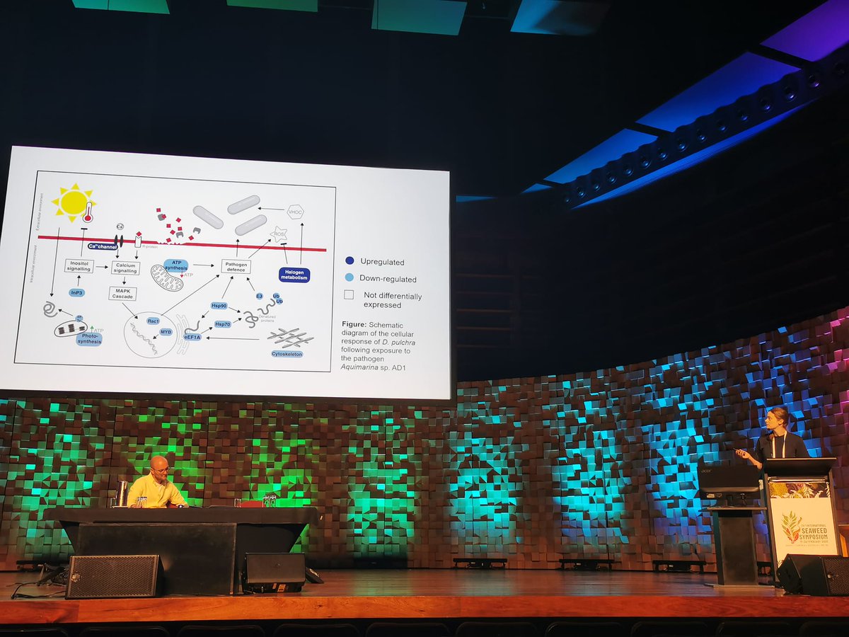 Had a great time at #ISS2023 presenting some of my PhD work on the molecular mechanisms of bacterial pathogens and seaweed disease. I even won a prize for my talk!!