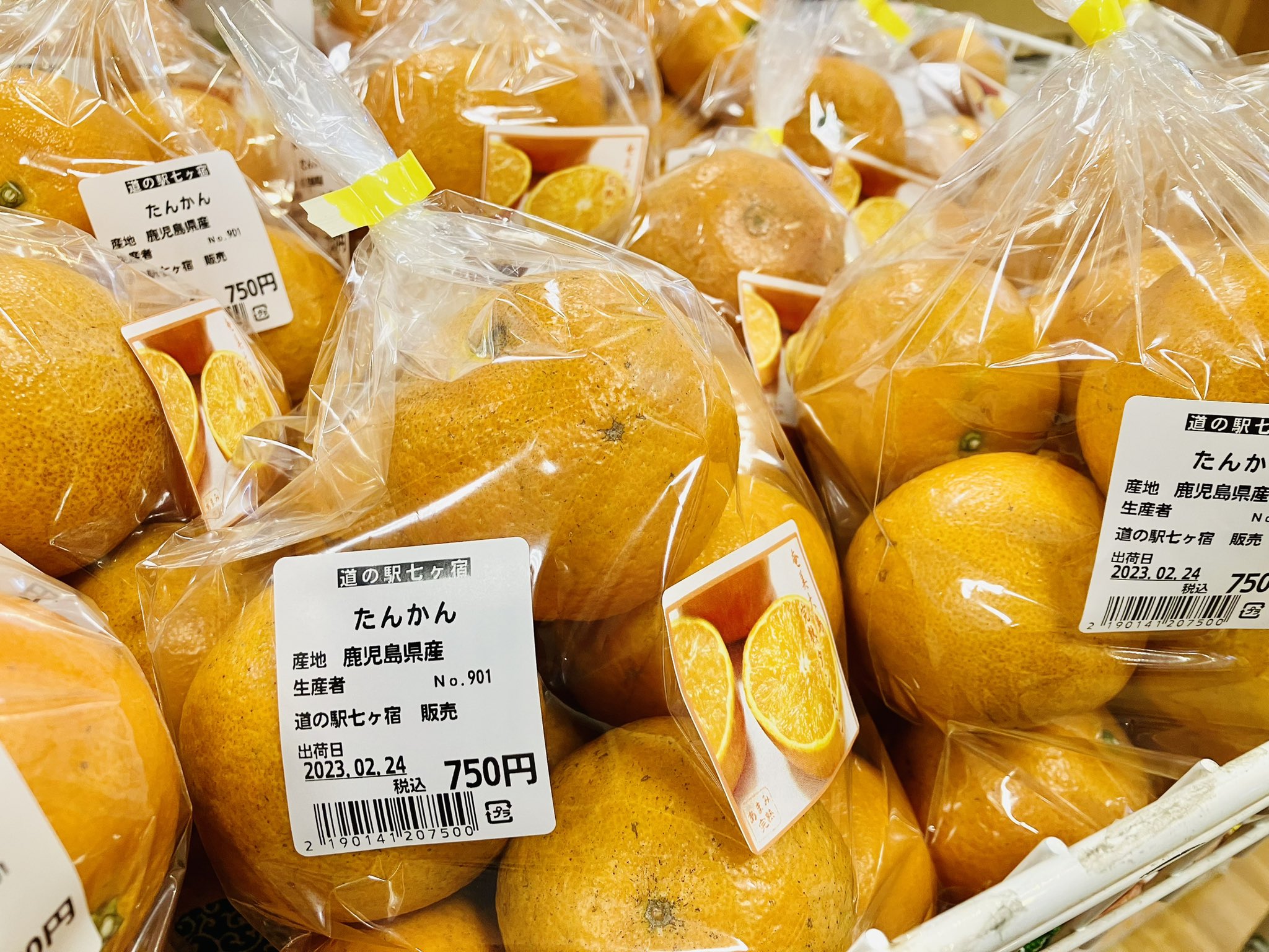 タンカン10キロ❌2 楽天市場】たんかん 10キロの通販
