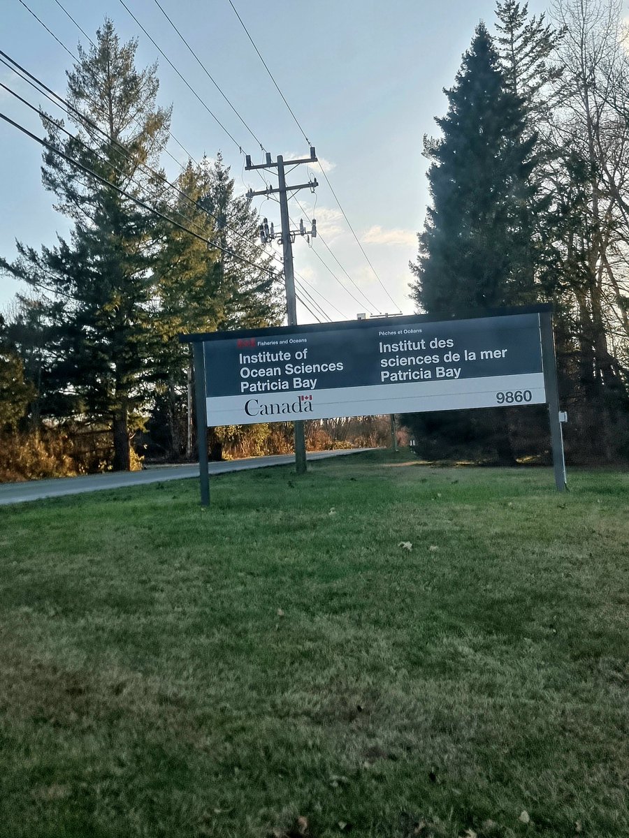 emilyhague's tweet photo. Felt super privileged today to visit the @FishOceansCAN Institute of Ocean Sciences, and meet with some of my #ScottishVesselProject collaborators in-person for the first time π€ Then, onto warm dinner and shipping chats with lovely @NormaSerraSogas from @Transport_gc ππ’π₯Ά https://t.co/jhZKWn6jG6