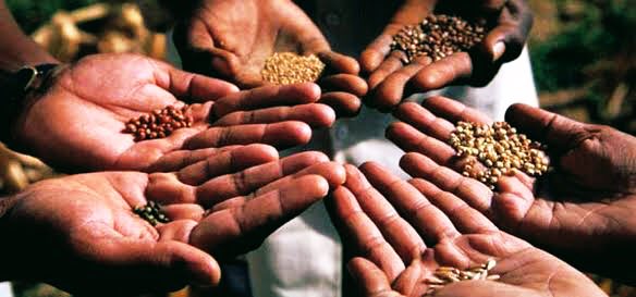 agrosage's tweet photo. Did you know that up to 828 million people still go to bed hungry each night? 
~WFP. https://t.co/VXUDFWSlww