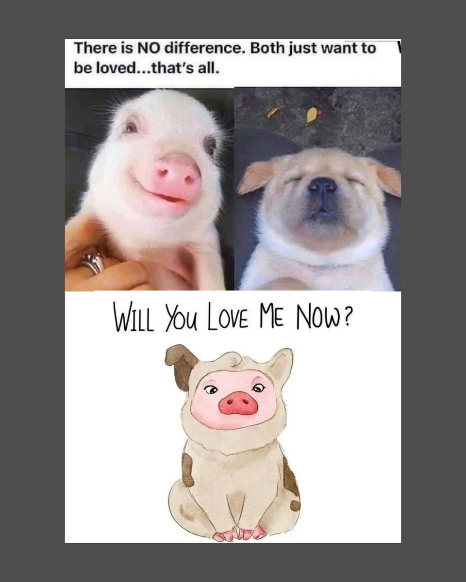so0okshma's tweet photo. #Haiku #vss365 #haikufeels #haikuchallenge

         why #distant &amp; #inhibit love
               all #sentient beings
               belong in our hearts

#so0ots #endspeciesism #writingcommunity

🎦animal_front (not graphic♥️): Tourist frees mom+son from dog meat trade #govegan https://t.co/1p0cETkKJN