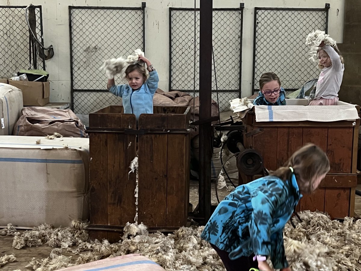 At least we can get some value from it!!!! #KidsOfMorrisonFarming