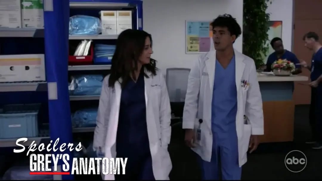 #GreysAnatomy 19x7 “Iʼll Follow the Sun” Ver a Amelia como tía de Lucas es una relación que no sabíamos que necesitábamos. #SpoilersGreysAnatomy