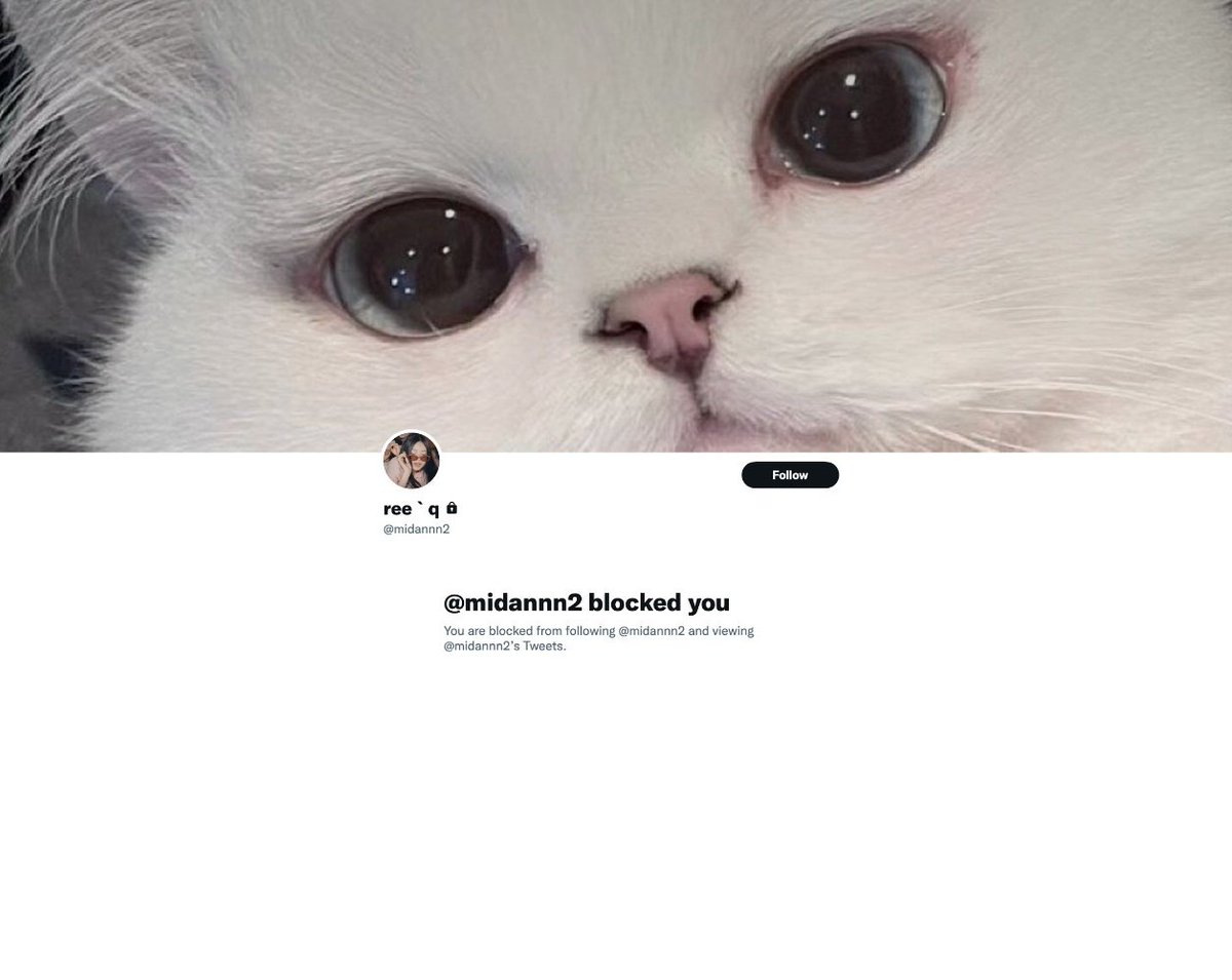 bakekok tweet media