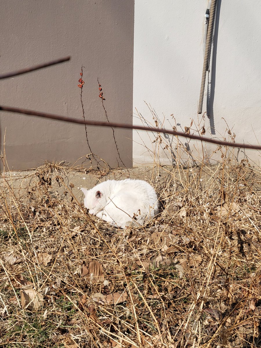 공노n년차🦄 tweet media