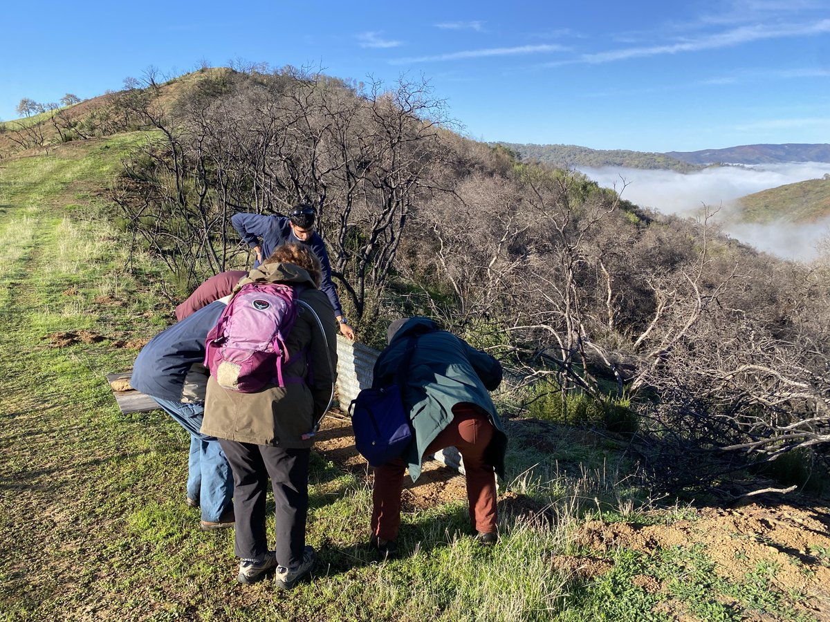 The last stretch! We are 50% of the way to our fundraiser goal! Donate and share to help us reach $5000: 🌄crowdfund.ucdavis.edu/project/35549