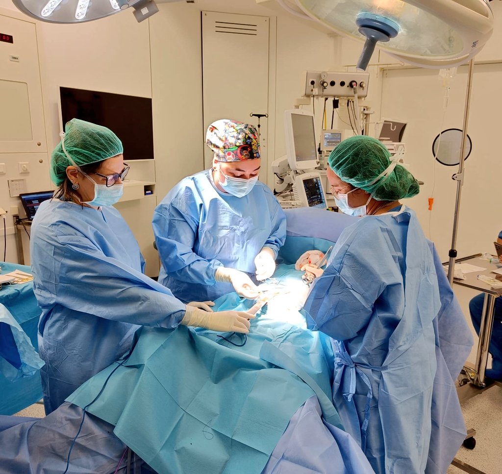 Trabajo en equipo  #resis #surgery
<a href="/rovira96/">carla rovira aguilà</a> <a href="/Hospitaligd/">Hospital Universitari d'Igualada</a>