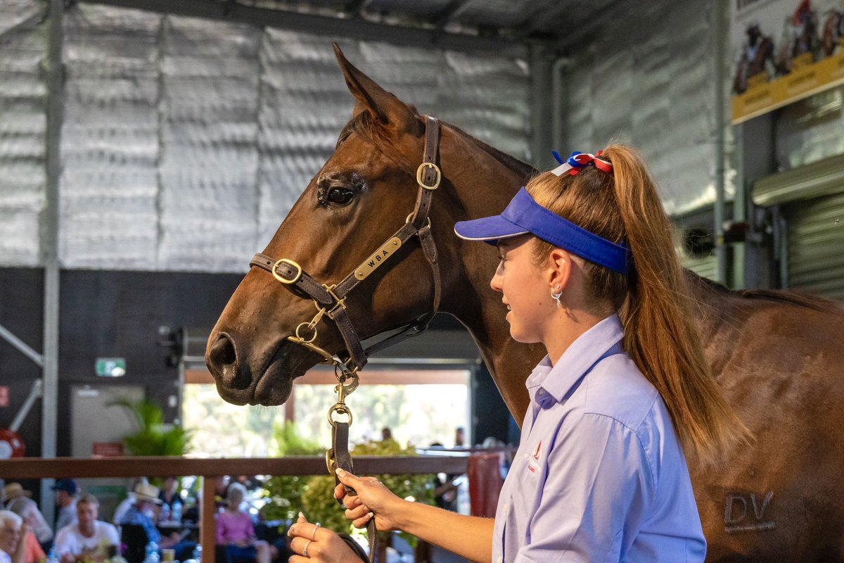 Racing WA TV tweet media