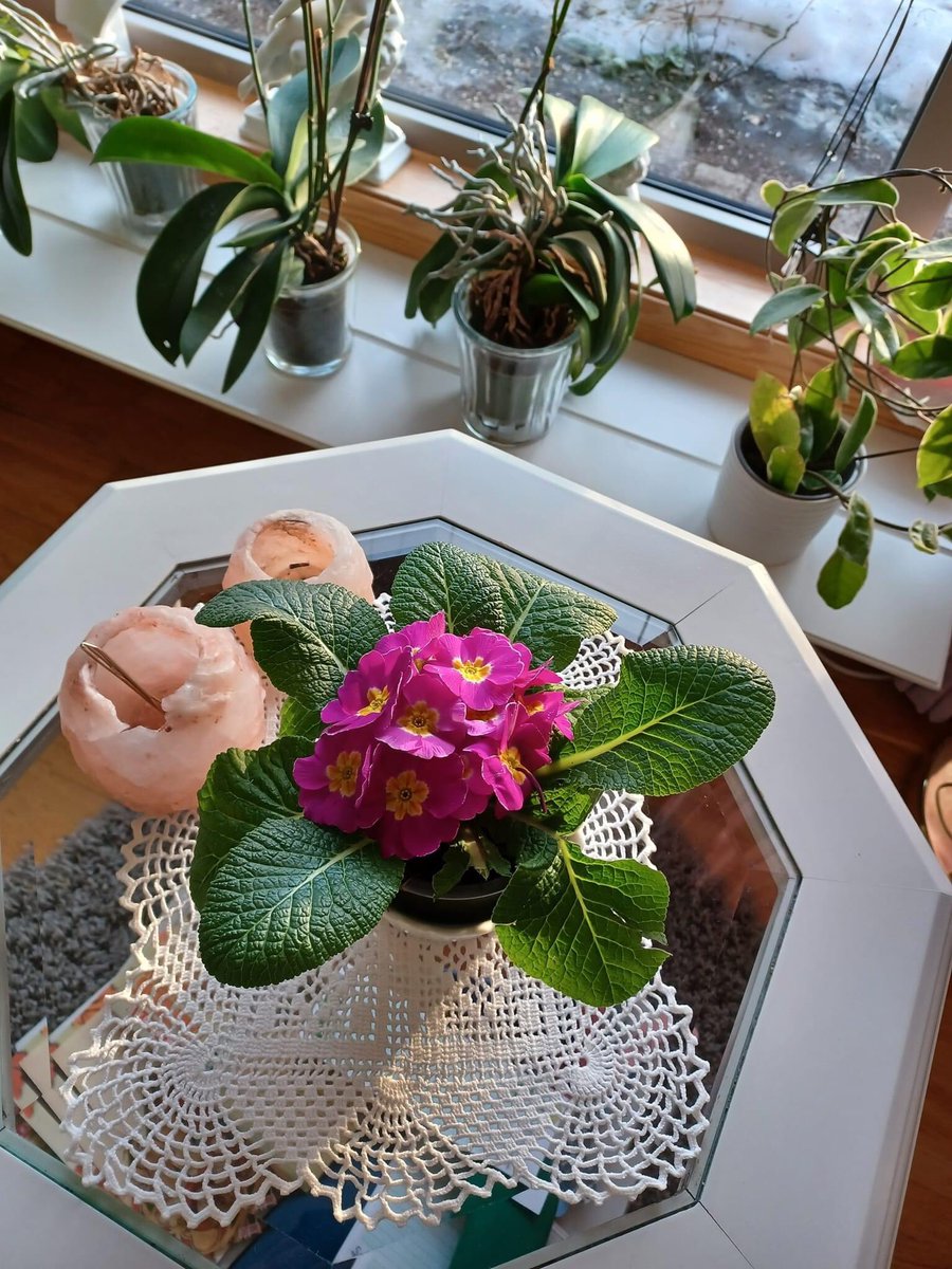 黛博拉黄 (@debbie_990) on Twitter photo 