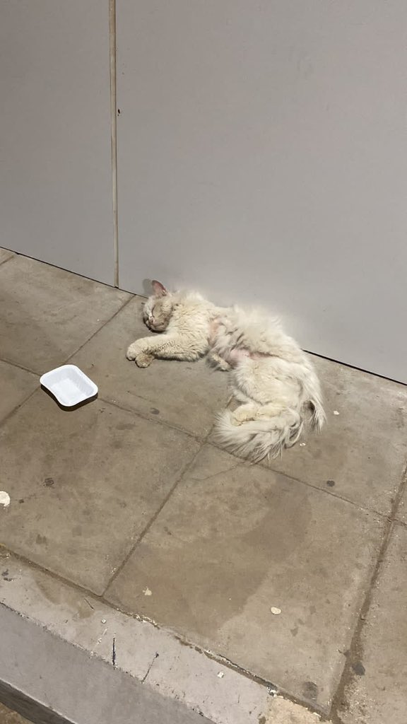 لن يهجركم الا من كان حبه مكذوب ورحمته مزيفة 💔💔