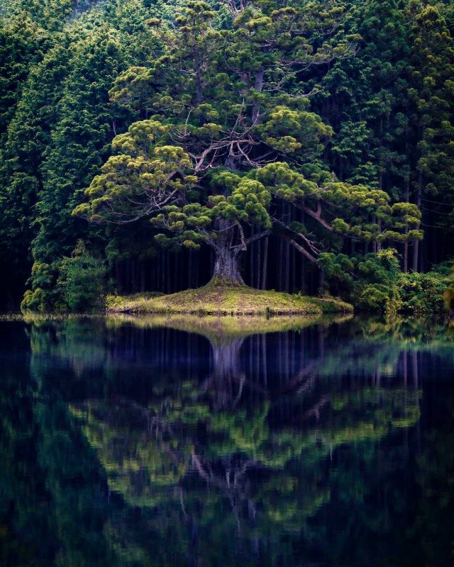 poojagarg1111's tweet photo. Due to our capacity to feel deeply and have empathy for others, we easily feel guilty when we ain’t able to say “yes” or offer support. But, when we consistently put ourselves last in order to serve others, we grow resentful and lose touch with who we are. https://t.co/dBpeI7at6S