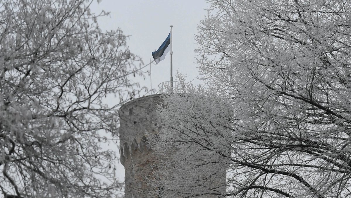 Happy 105th Independence Day, my dear #Estonia! Today we celebrate freedom, I salute all those caring for our democracy and freedom. I greet our friends and partners supporting us on our way. Freedom is not cost-free. Ukraine's fight for freedom is a tragic reminder of that.