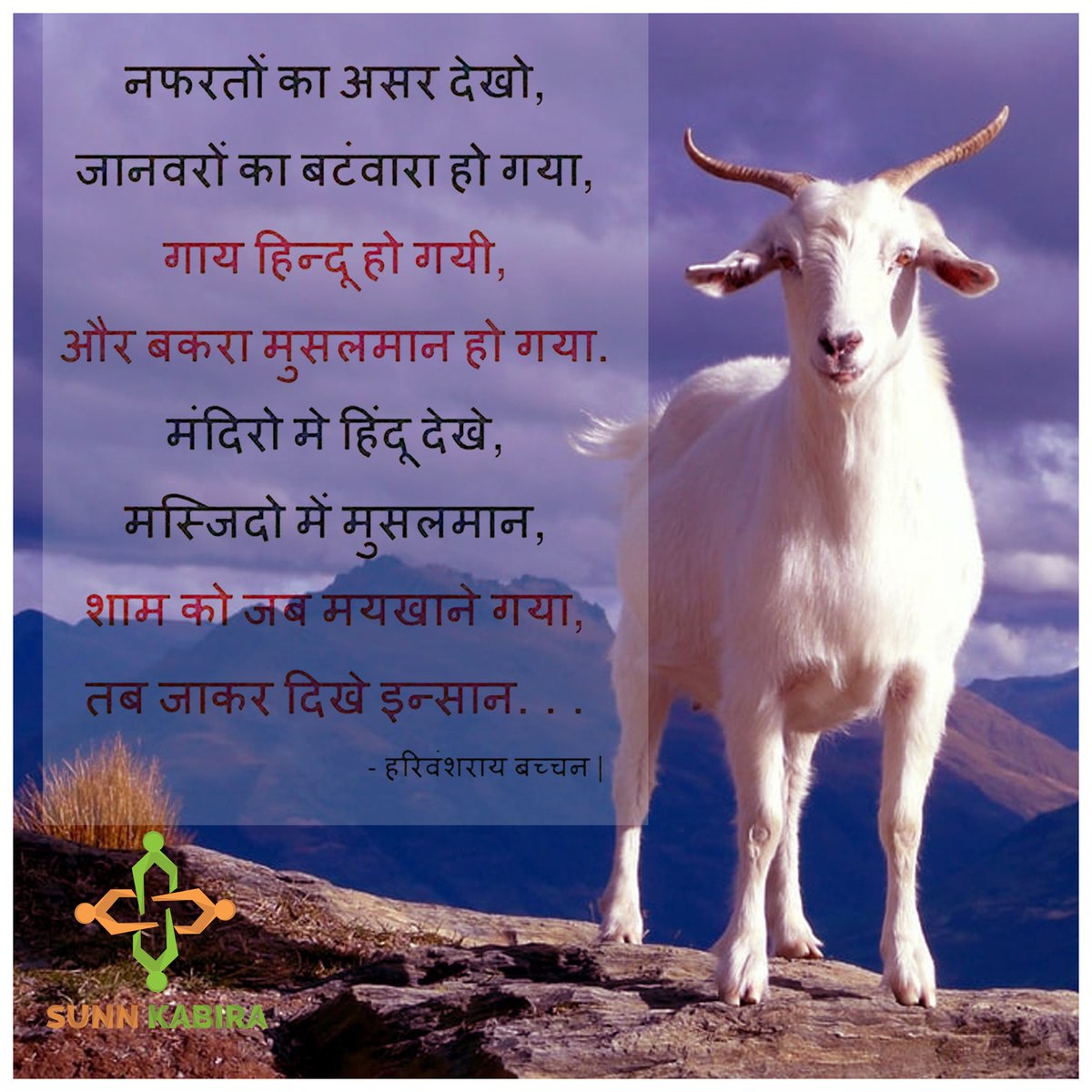 SunnKabira's tweet photo. We are only as strong as we are united, as weak as we are divided.
#Quotoftheday  #peace #love #unity #sunnkabira https://t.co/D9vYoWEkyG