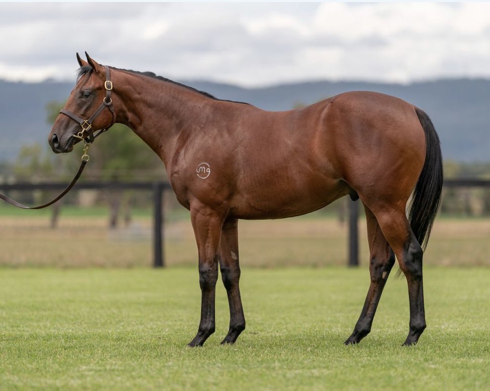 Newgate (@newgatefarm) on Twitter photo 🚨Another New 2️⃣yo winner for Capitalist ‼️
🔵Legolas leads all the way 🔥⚪️
The <a href="/BBakerRacing/">Bjorn Baker Racing</a> trained son of Capitalist dominated from start to finish under a sharp ride by Brock Ryan
Well done to breeder <a href="/mullaglass/">Mullaglass Stud</a> and owners <a href="/Darby_Racing/">Darby Racing</a> 👏🏻🍾
#ItsPossible 🚨Another New 2️⃣yo winner for Capitalist ‼️
🔵Legolas leads all the way 🔥⚪️
The <a href="/BBakerRacing/">Bjorn Baker Racing</a> trained son of Capitalist dominated from start to finish under a sharp ride by Brock Ryan
Well done to breeder <a href="/mullaglass/">Mullaglass Stud</a> and owners <a href="/Darby_Racing/">Darby Racing</a> 👏🏻🍾
#ItsPossible