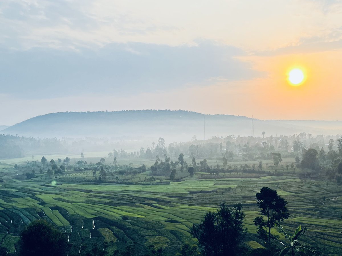 Majambere Davy tweet media