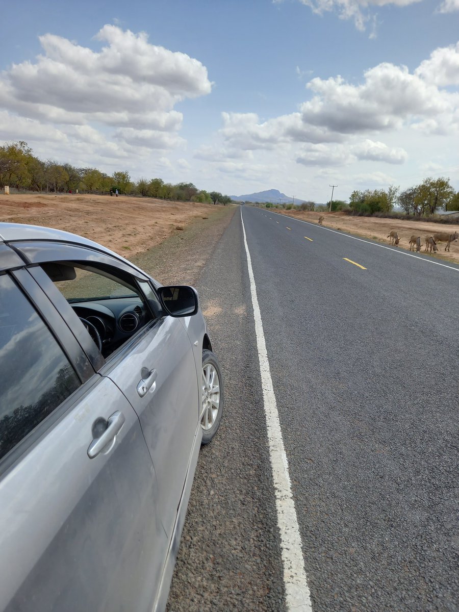 KatelembuGa's tweet photo. Fridays are meant for days to hit the road and travel for the weekend.@KatelembuGa #relaxation 
📞 0721 415 320 https://t.co/Gi5eNwxKLn