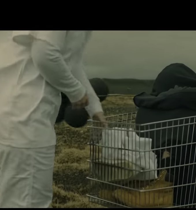 RMTTDWD1991's tweet photo. WHY IS NO ONE TALKING ABOUT THE END OF THE SEARCH !??!???? 

#nfrealmusic https://t.co/t1ecagZ6b1