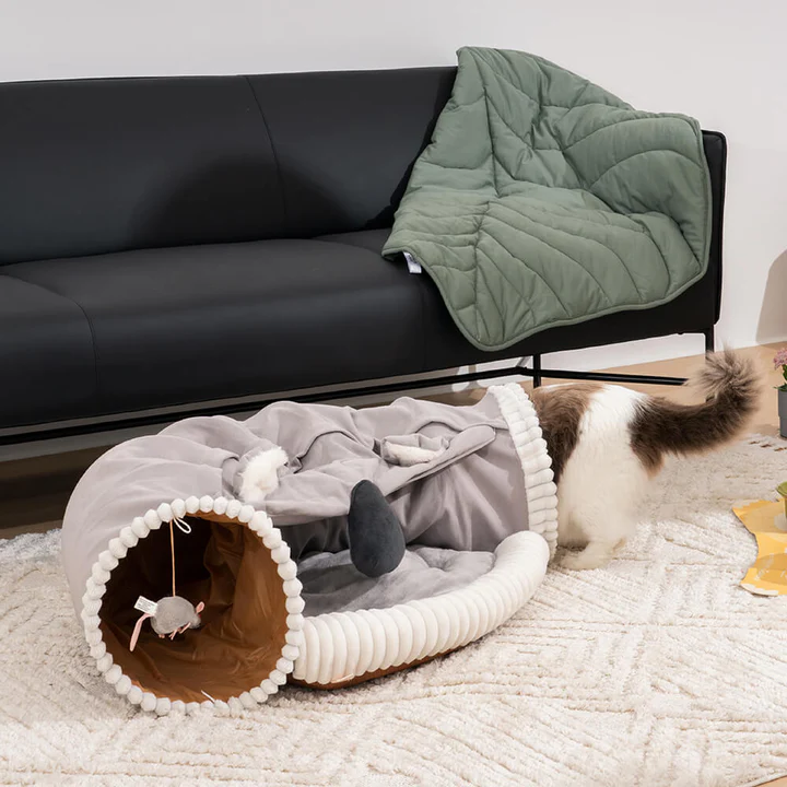 FUNNYFUZZY tweet media