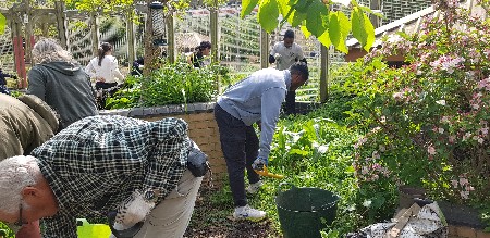 rtmarsh's tweet photo. Youth for Peace and Development (#YPAD) - Youth Service Project. Developing peace-building and leadership skills through a one-day voluntary service garden project. #UPF #UniversalPeaceFederation. In partnership with #STORM Family Centre - garden & founder Marie Hanson MBE https://t.co/KgwJGzud0P