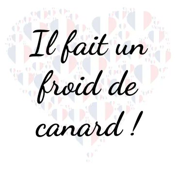 aspirelanguages's tweet photo. Friday's fridge-worthy French phrase! 

Il fait un froid de canard ! 🥶

It's freezing cold! 🥶 

#langtwt #learnfrench https://t.co/gX0SGJjN1B
