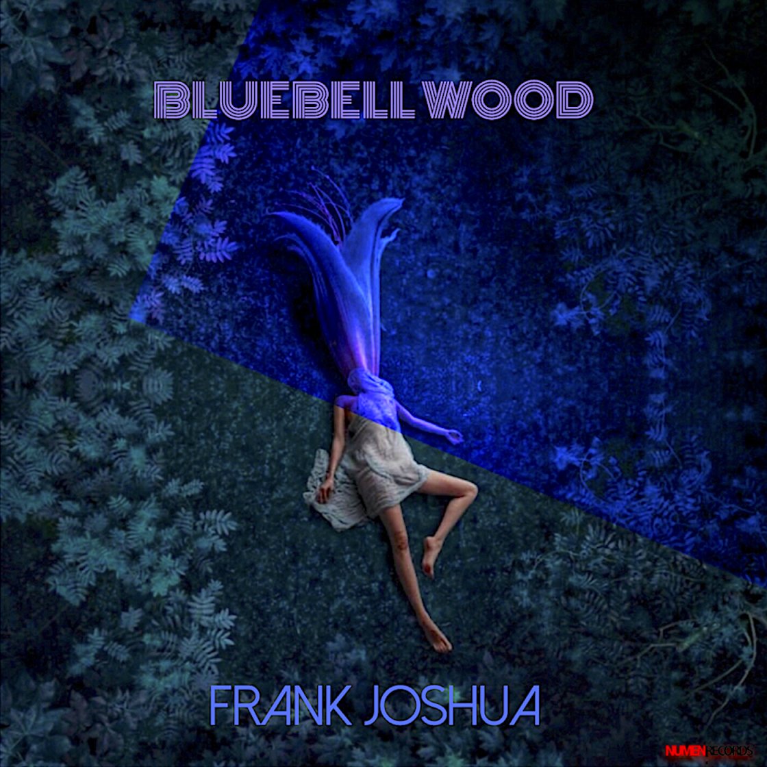 Bluebell Wood OUT NOW! - mailchi.mp/48436a2fc63e/b…