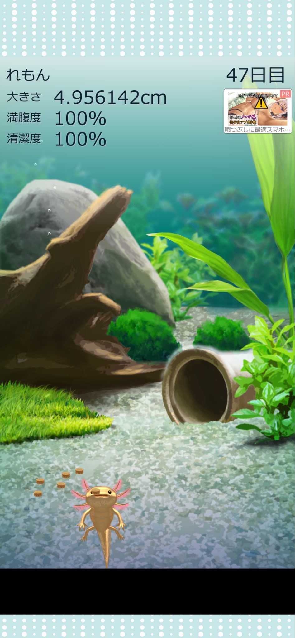 お買い得！】 ばぁばさん。:°ஐ..♡*( ⁎ᵕᴗᵕ⁎ )❤︎専用ページ