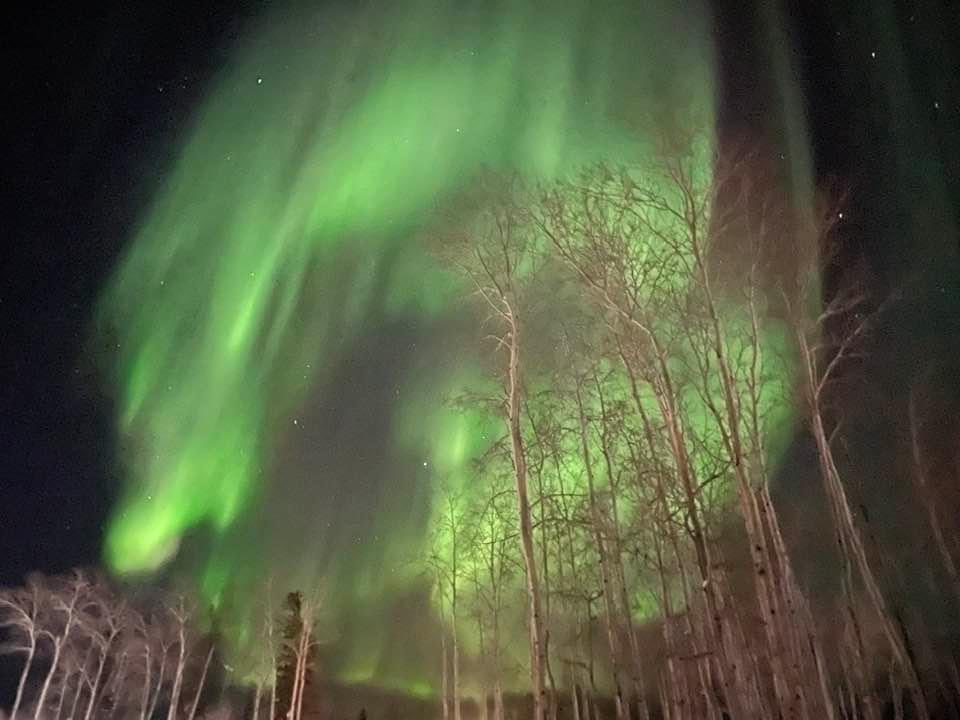 DeneLegalEagle's tweet photo. Northern lights and a big bag full of dry meat. What more could ask I for? 🥰 #birthdaygirl #denethings https://t.co/o4dIbkP4Ca