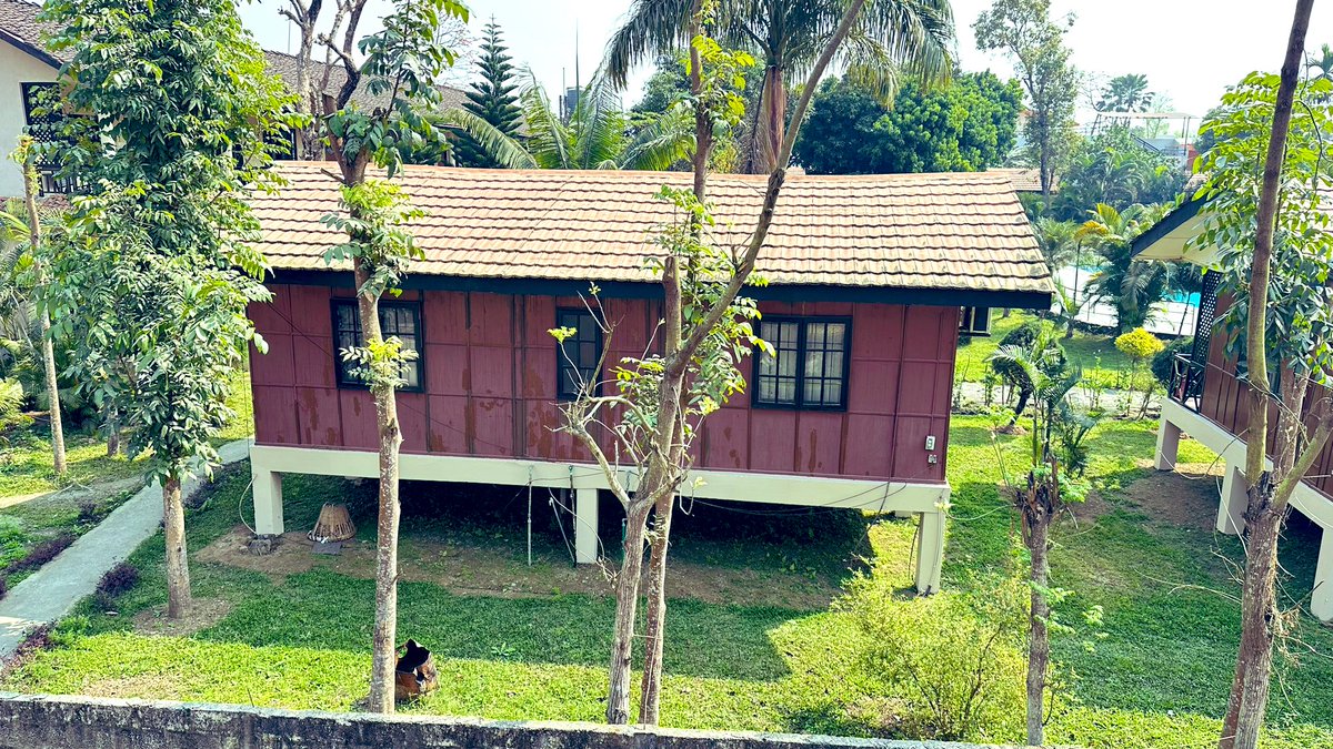 parmeshwarjhaa's tweet image. At #sauraha #Chitwan