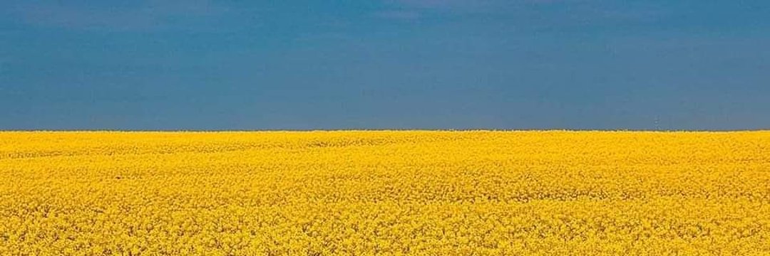 Beatriz Becerra 🇪🇦 tweet media