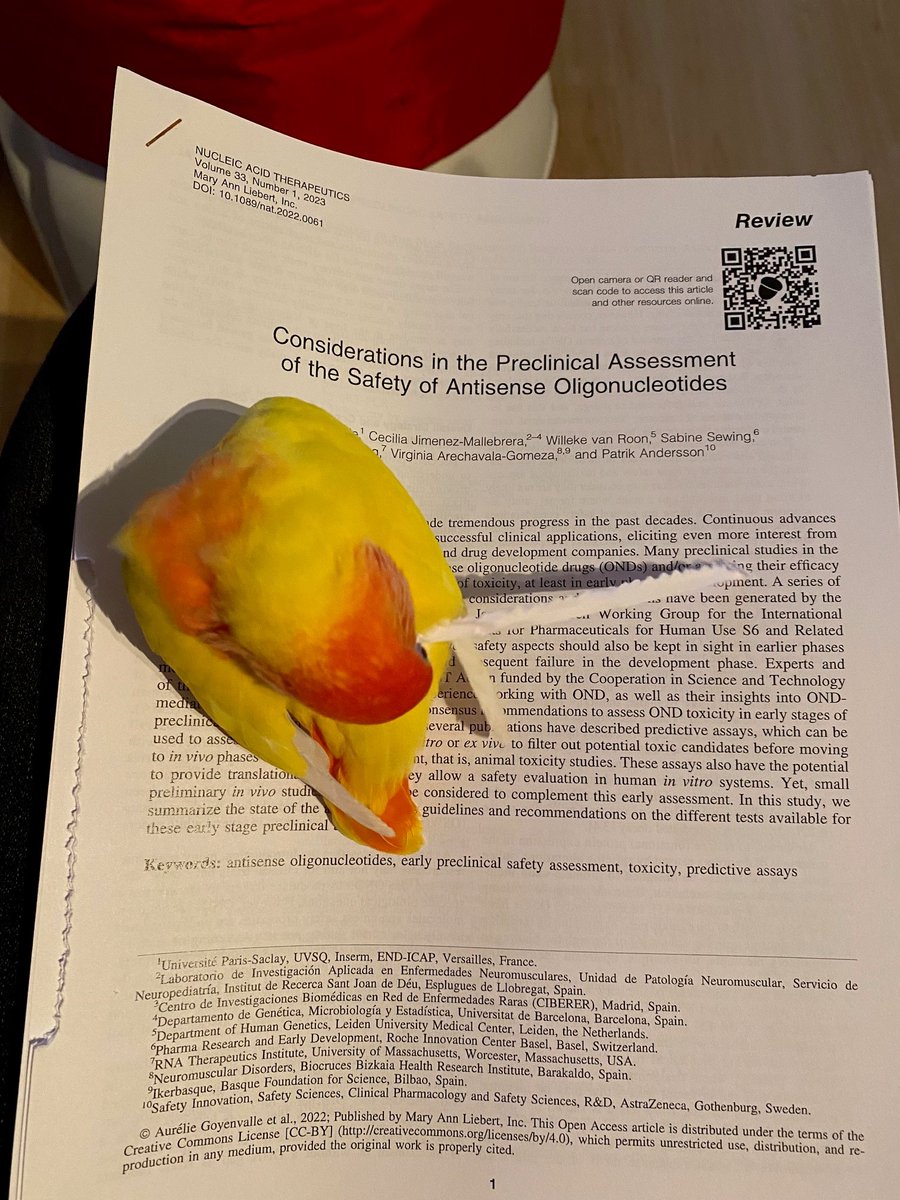 AnnemiekeAartsma-Rus (@oligogirl) on Twitter photo #apaperaday the last <a href="/AON_Delivery/">COST DARTER</a> #DARTERmeeting special. Today's pick is the must read paper by Goyenvalle et al on preclinical safety considerations for antisense oligonucleotides published in <a href="/OTSociety/">Oligonucleotide Therapeutics Society</a> journal Nucleic Acid Therapeutics DOI: 10.1089/nat.2022.0061 #apaperaday the last <a href="/AON_Delivery/">COST DARTER</a> #DARTERmeeting special. Today's pick is the must read paper by Goyenvalle et al on preclinical safety considerations for antisense oligonucleotides published in <a href="/OTSociety/">Oligonucleotide Therapeutics Society</a> journal Nucleic Acid Therapeutics DOI: 10.1089/nat.2022.0061