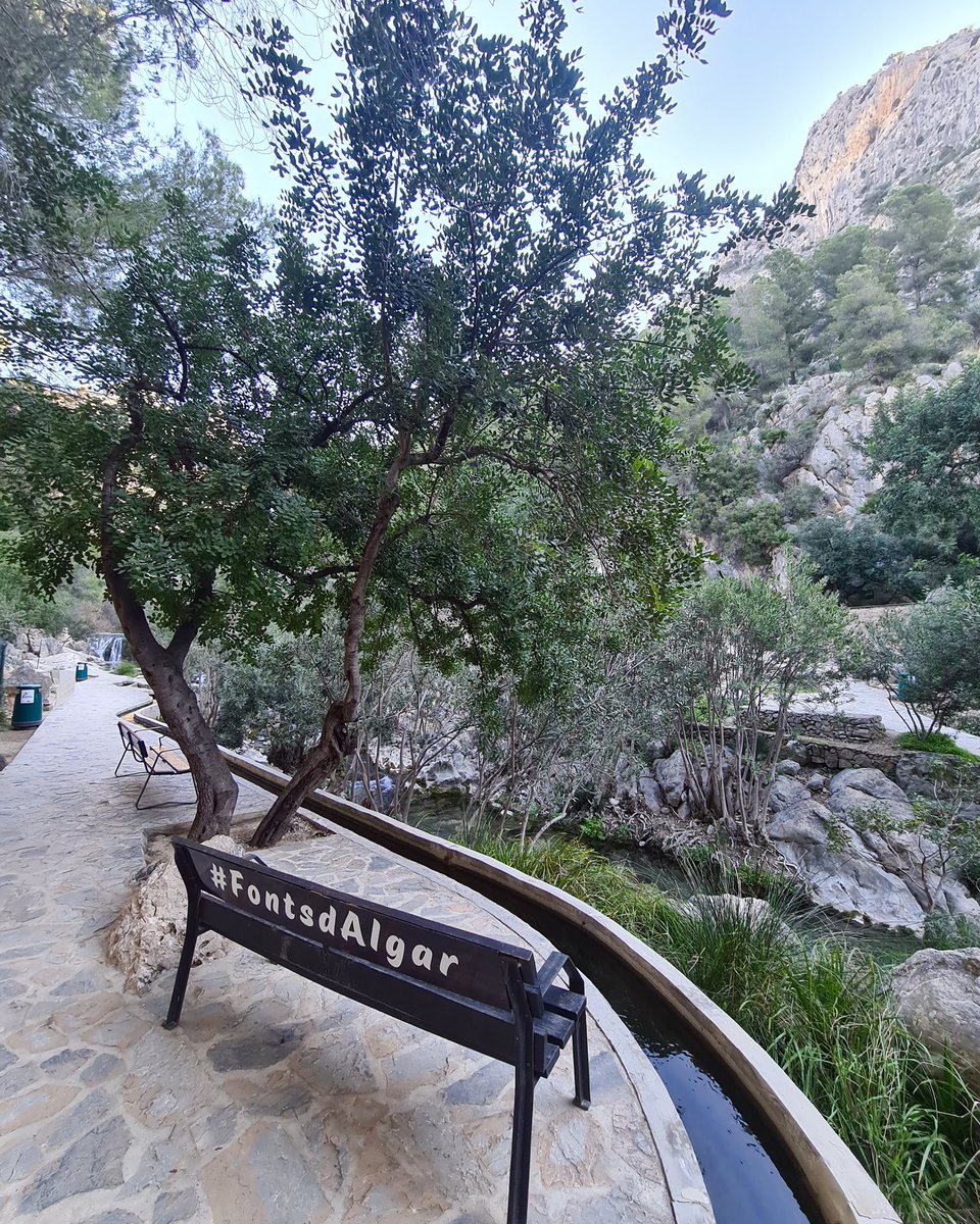 costablancaorg's tweet photo. Cascadas, fuentes manantiales que brotan de la roca, pozas de agua cristalina 💙. Disfruta de un paseo por la naturaleza 🤩.

📌 Visita Les Fonts d’Algar en Callosa d’en Sarrià y sumérgete en un paraíso natural que te encantará 🌿💦.

📌 Más info en @FuentesAlgar https://t.co/ZiXWDG2ACQ