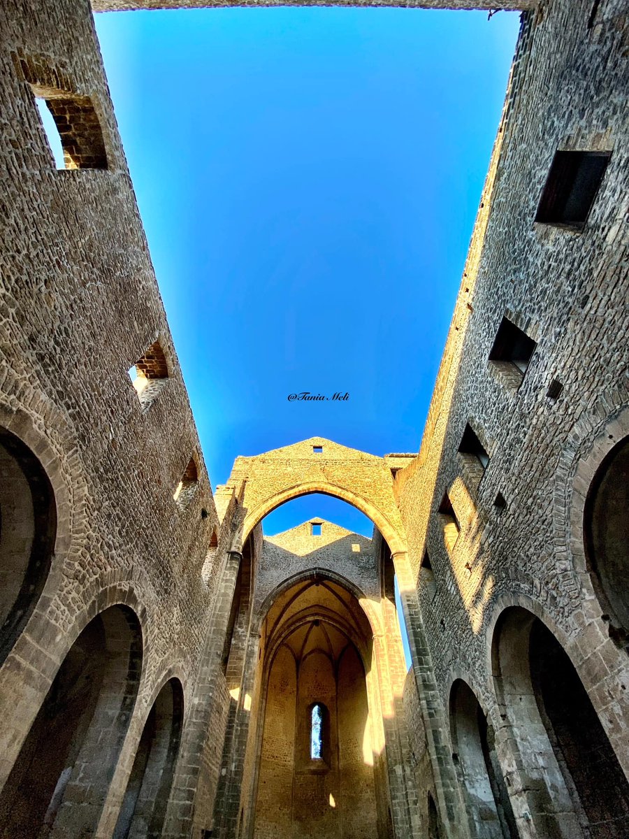 VisitSicilyOP's tweet photo. Un mix di architetture e usi nel quartiere arabo della Kalsa
Inserite la Chiesa di Santa Maria dello Spasimo nell'elenco delle cose da vedere a #Palermo.
📸 Tania Meli
#visitsicilyinfo #spasimo #churches https://t.co/xU7zoMy73r